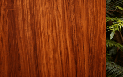 Wat voor houtsoort is Afrormosia