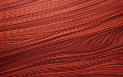 Wat voor soort is Padoek hout